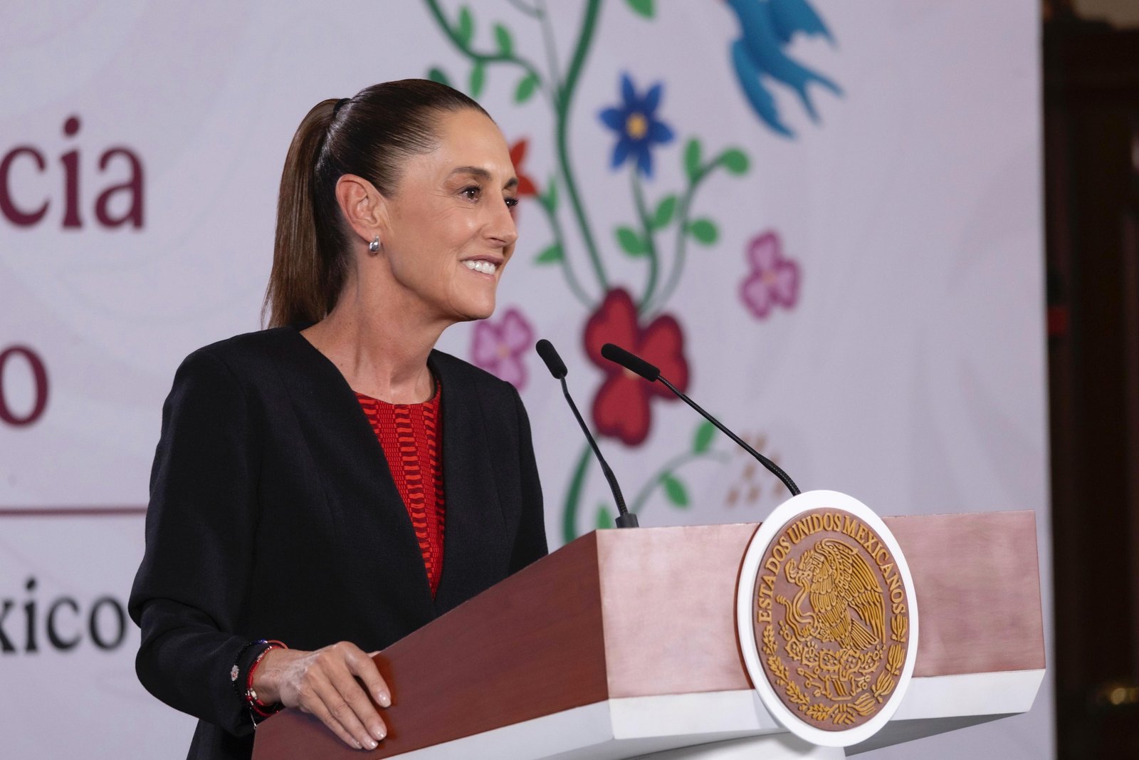 Sheinbaum descarta encubrimiento y promete cero impunidad