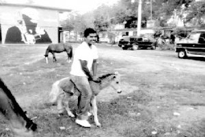 “Mi hijo no era asesino; nomás  fue a una escuela de pobres”