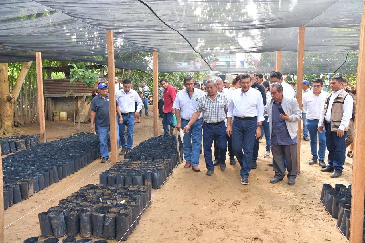 Pide Javier May a sembradores de Centla rescatar el campo