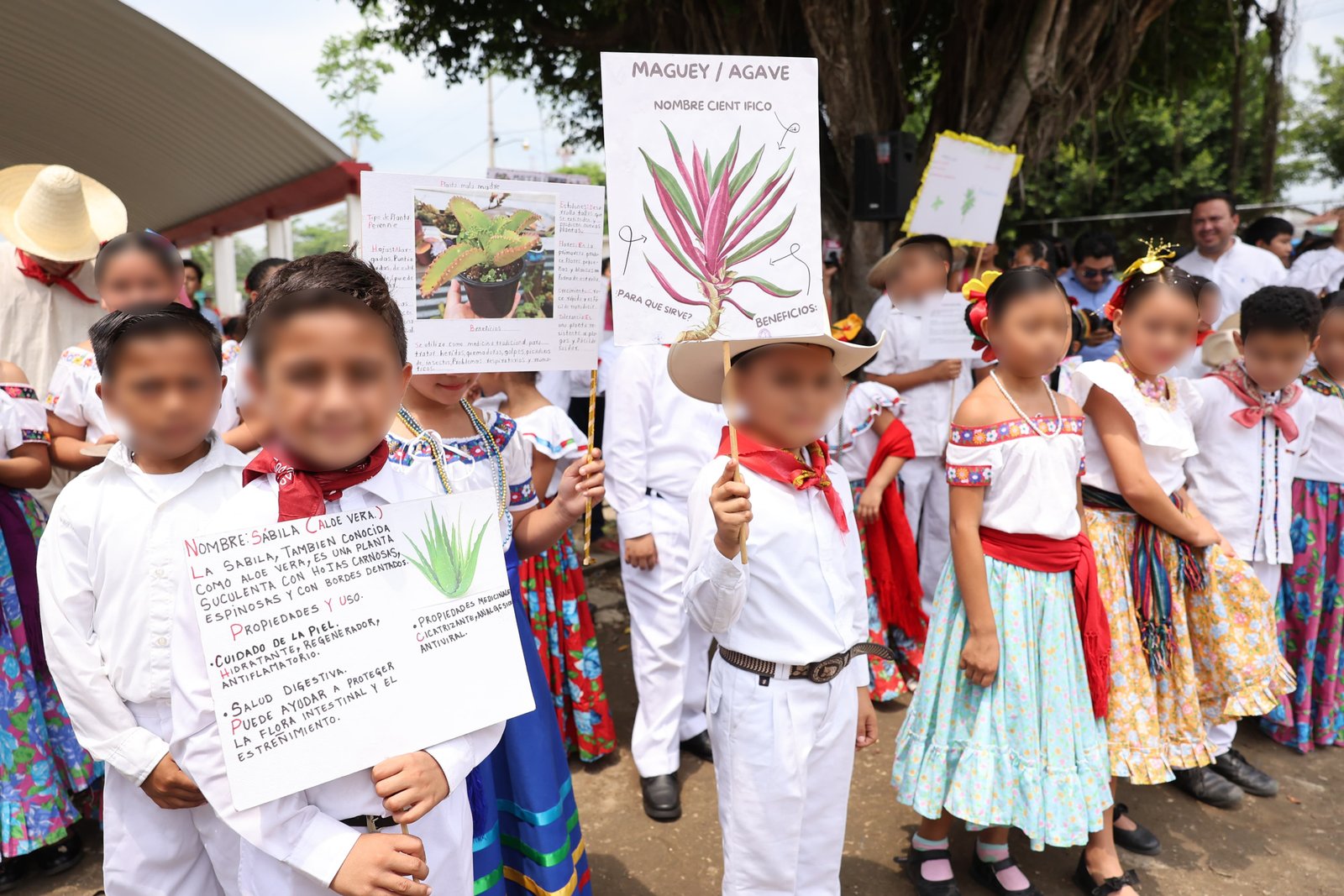Gobernador Javier May anuncia jornada estatal de reforestación en Tabasco