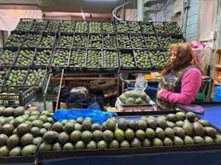 Para el “Supertazón”, México mandará más de 110 mil toneladas de aguacate 