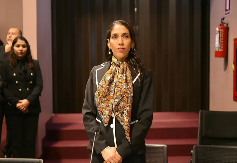 Renuncia fiscal de Veracruz, Verónica Hernández Giadáns