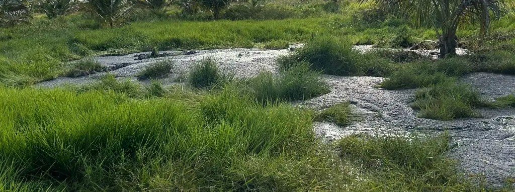 Fuga de hidrocarburo en Centla pone en alerta a zona residencial