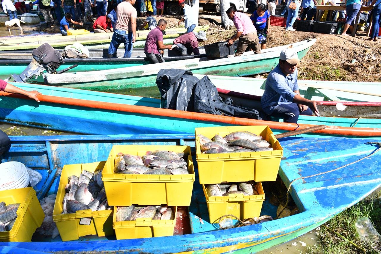 "Pescando Vida" transforma la economía rural de Tabasco