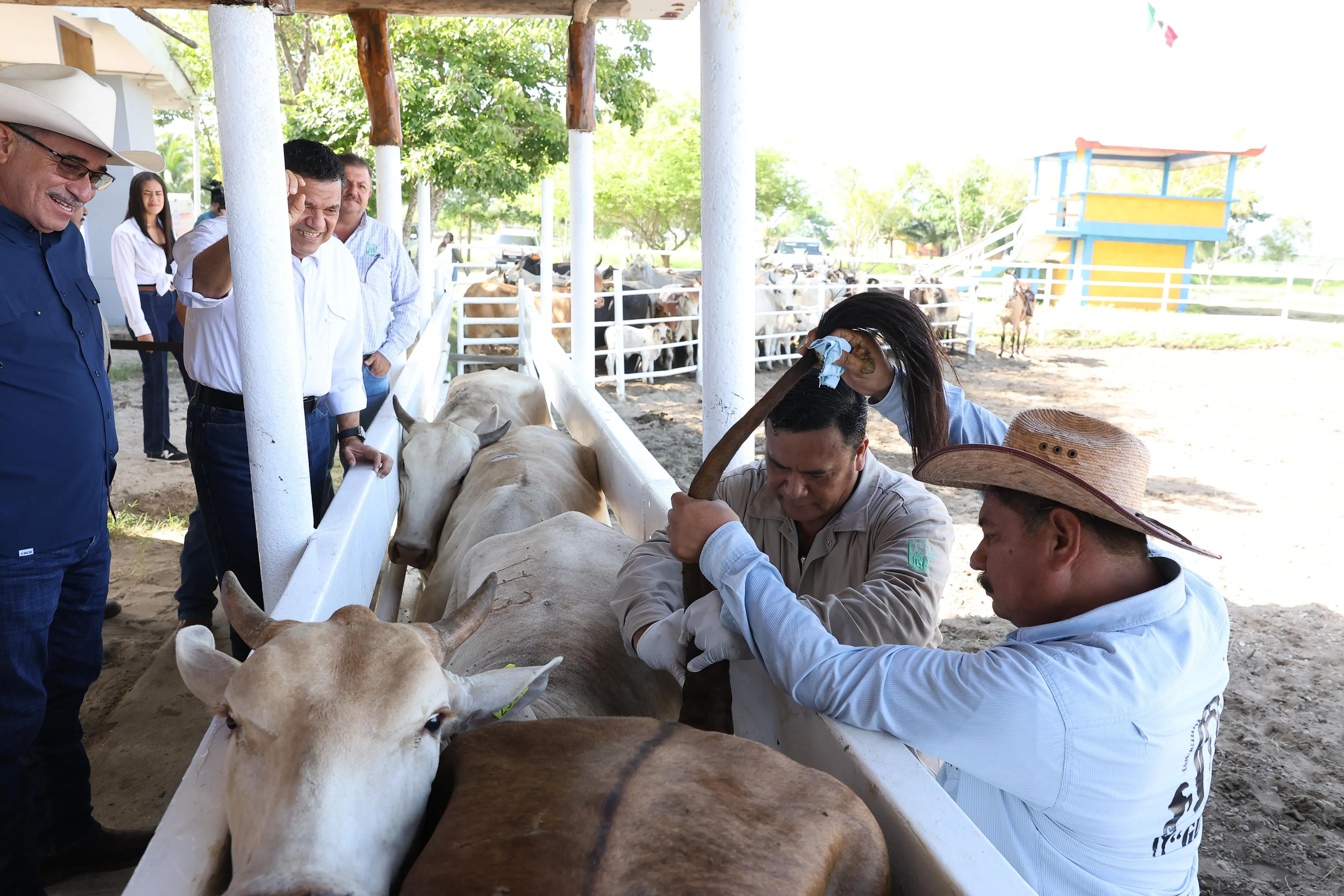 Cumple May con el campo tabasqueño: da inicio Barrido Sanitario en Paraíso