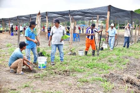 Viveros de Sembrando Vida en Cárdenas ya están produciendo