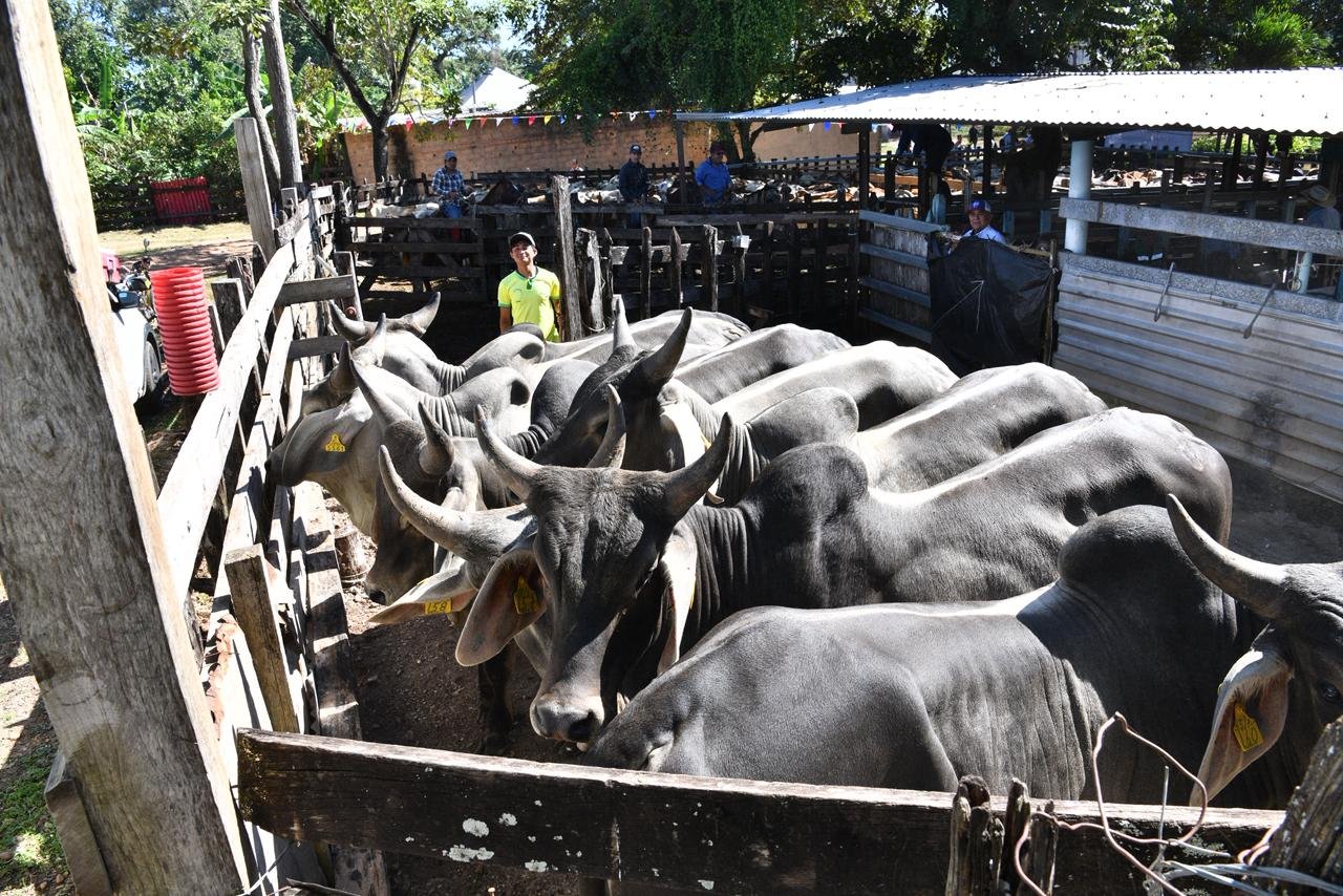 May apuesta por el campo: soberanía alimentaria y economía rural