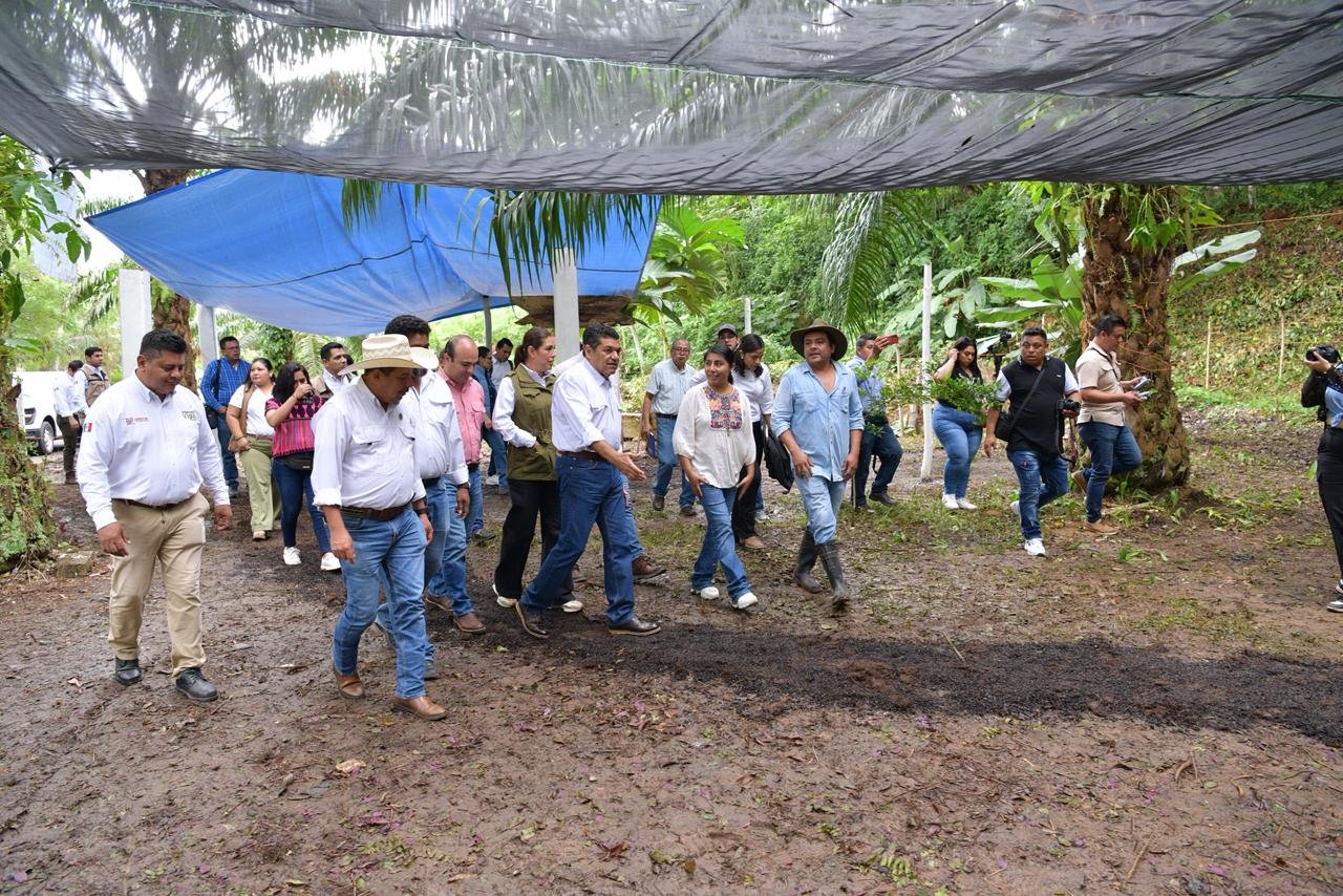 Con Sembrando Vida, el campo tabasqueño tiene larga vida: Javier May