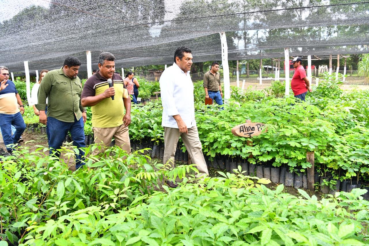 El programa impulsa la reforestación, el autoconsumo y la producción rural en Tabasco, beneficiando a miles de familias con apoyo mensual y precios justos.