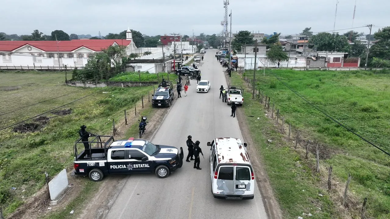 Tabasco: 16 detenidos y más de una tonelada de marihuana asegurada en cuatro días