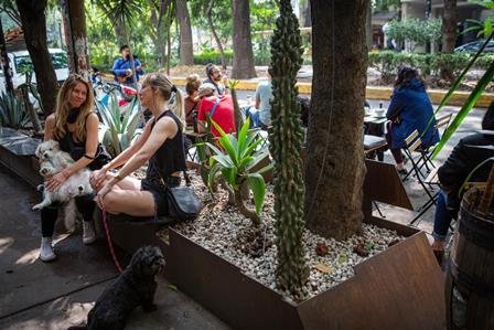 De EE.UU. la gran mayoría de migrantes viviendo en México 