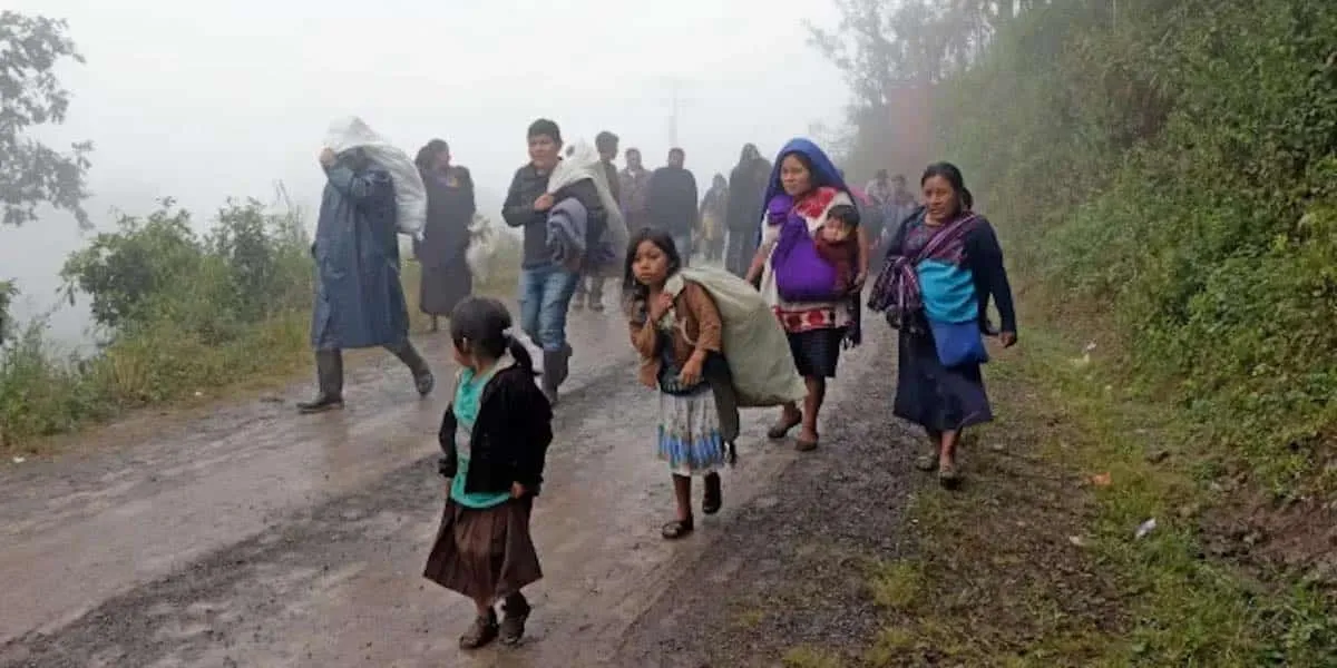 Desplazamiento forzado en Chiapas refleja crisis más allá de homicidios