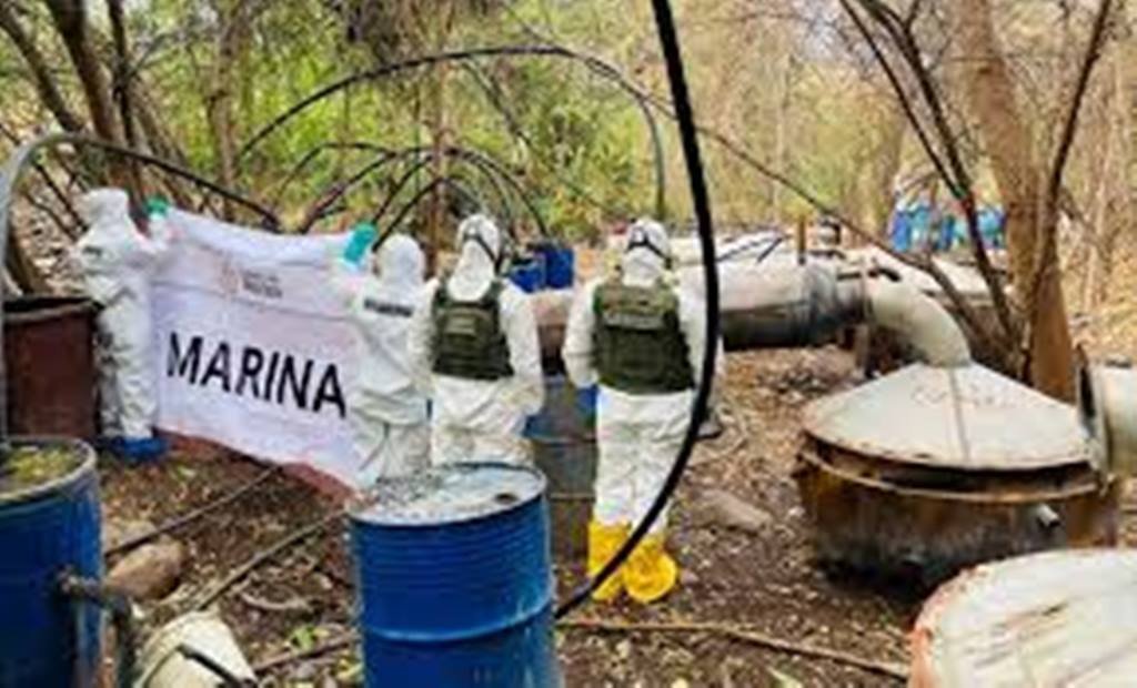Localizan y destruyen dos narco laboratorios y plantío en Sinaloa