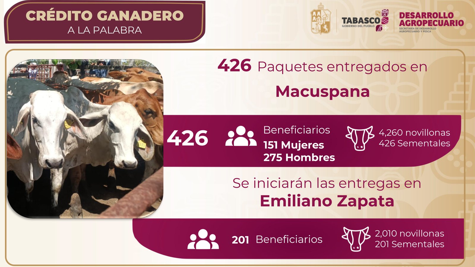 Con Crédito Ganadero, entregan 4,260 novillonas y 426 sementales