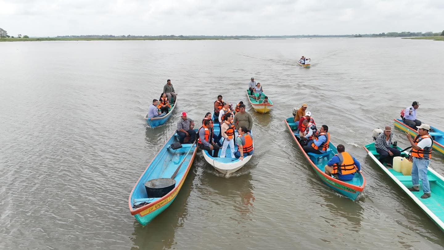 Siembran 200 mil crías de tilapia en lagunas de Matillas