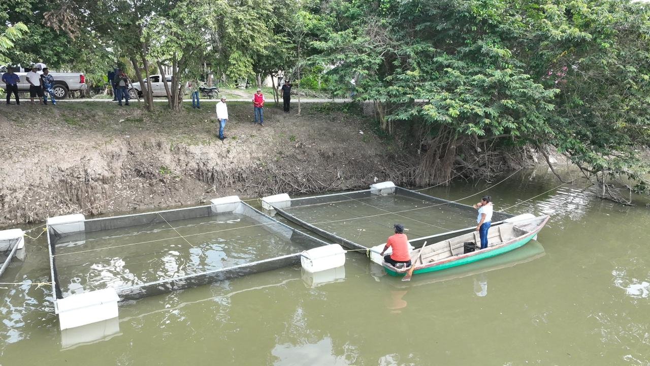 Prevén ampliar Pescando Vida tras cosechas en Centla