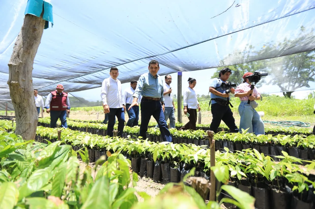 Javier May impulsa la autosuficiencia alimentaria en Tabasco