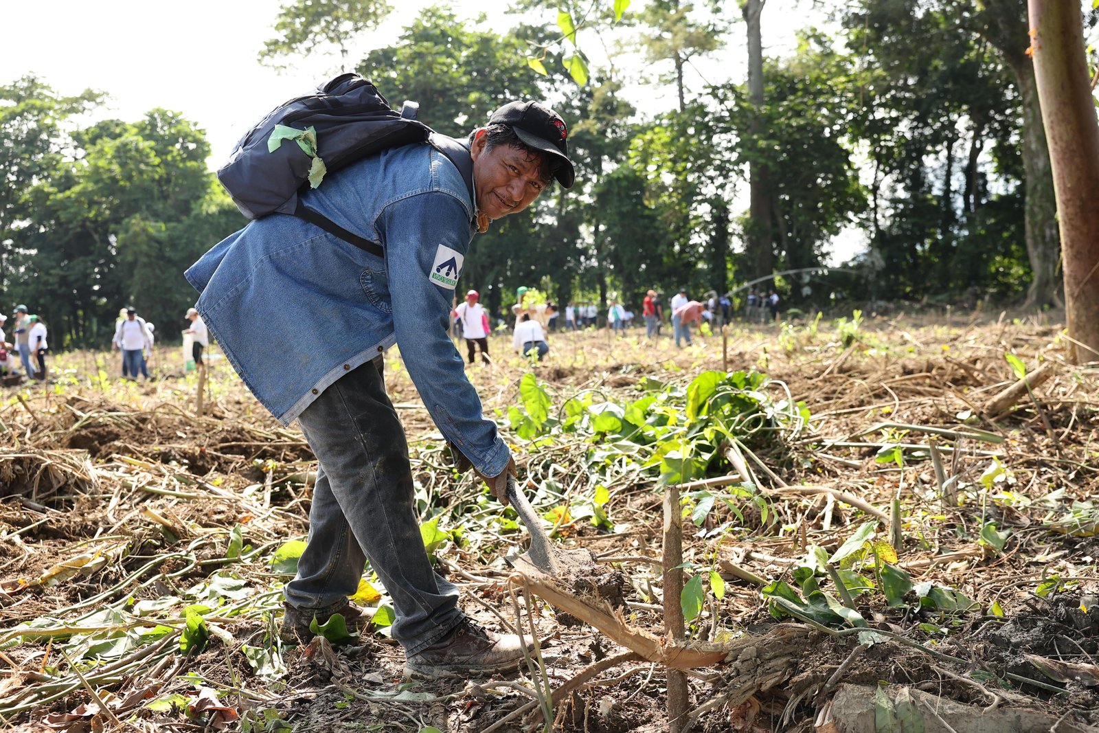 Tabasqueños protagonistas de la Jornada de Reforestación; “sembrar es regalar vida”, afirman