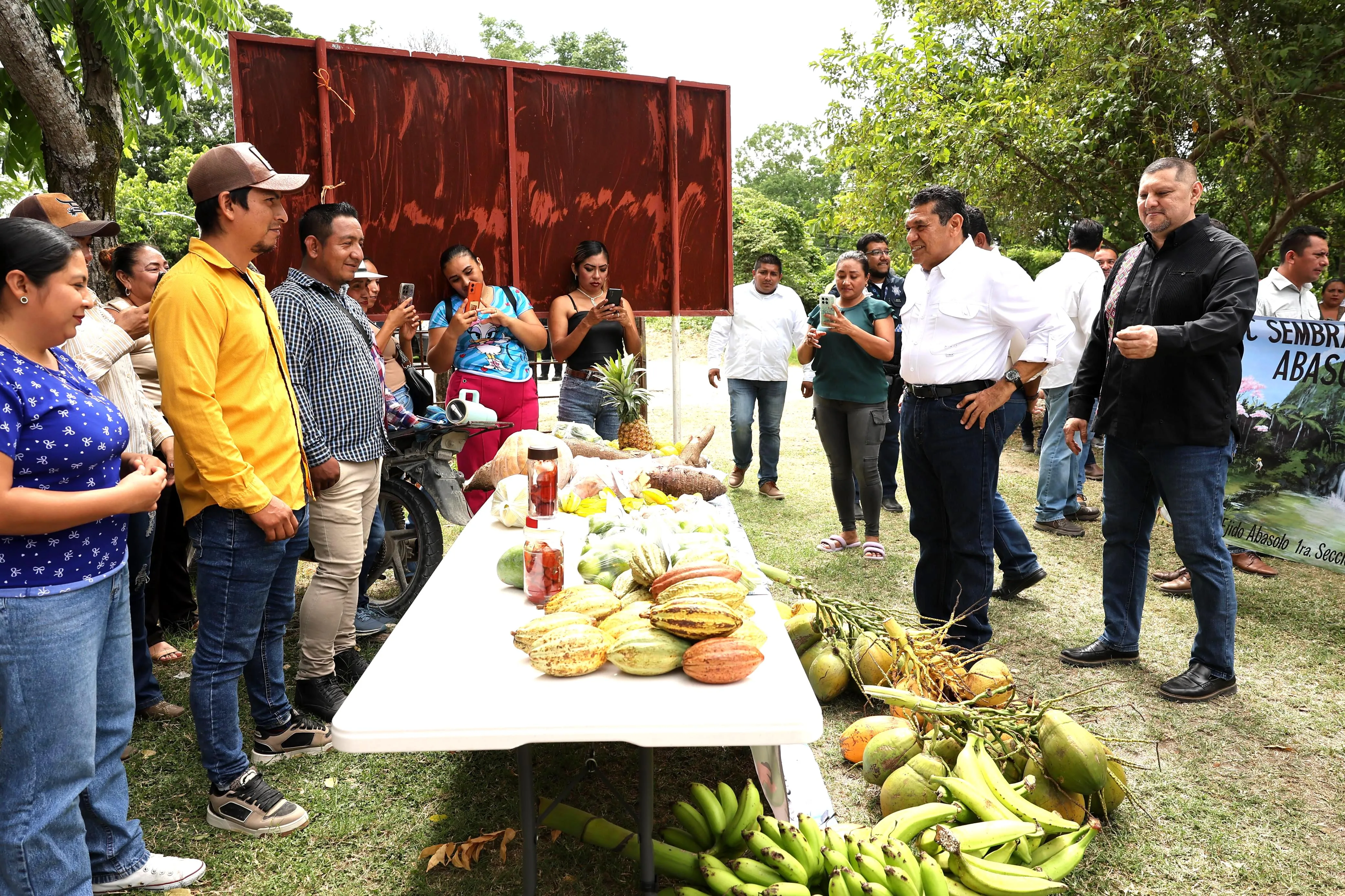 Sembrando Vida lidera el empleo en Tabasco: May