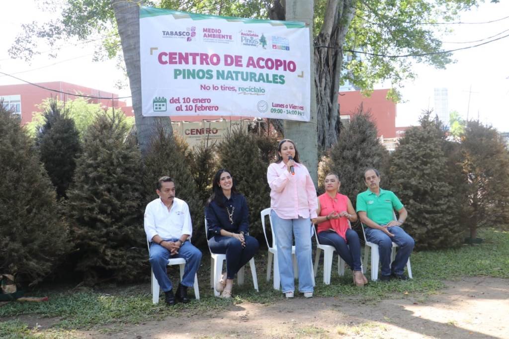 XVI Reciclatón de pinos naturales