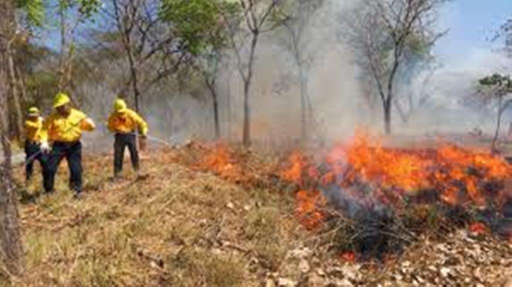 Sequía, altas temperaturas e incendios, advierte IPCET 