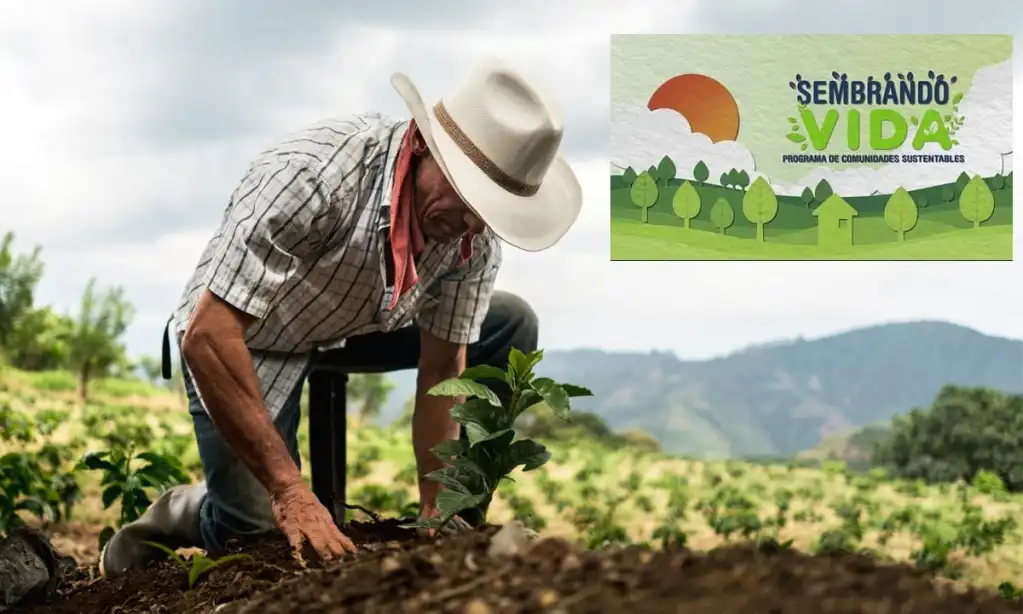 Semades convoca: Reforestación 2025 para Tabasco