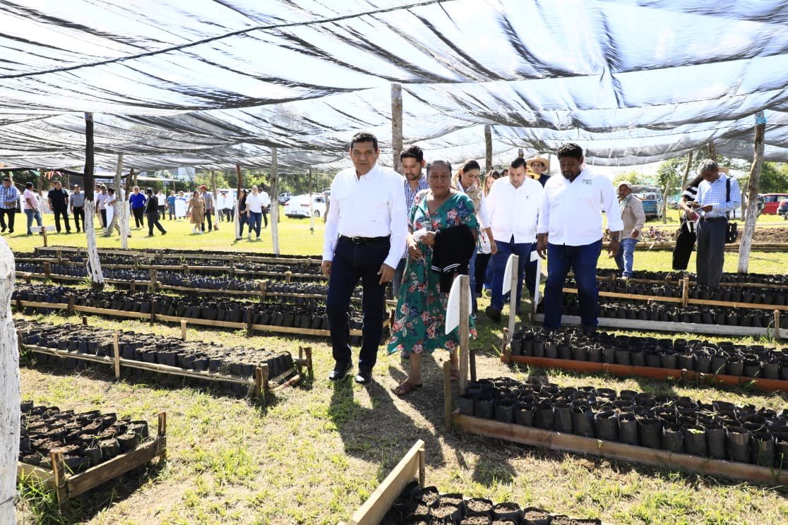 Sembrando Vida Estatal: El motor de la suficiencia alimentaria en Jalapa y Tabasco