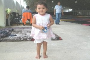 Sólo 4 por ciento de afectados son atendidos en albergues, según datos de Protección Civil