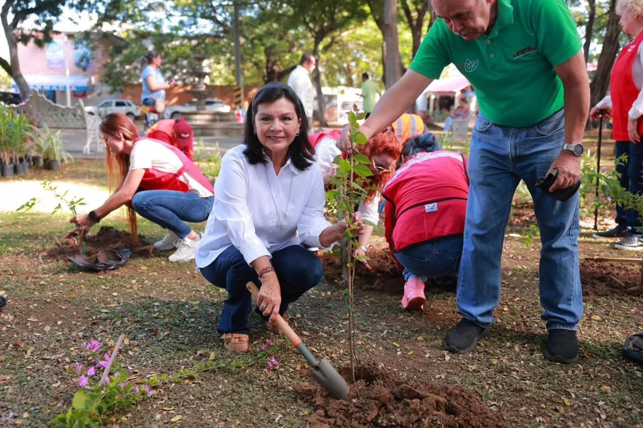 Suman esfuerzos Gobierno de Centro y sociedad civil para reforestar y embellecer espacios públicos