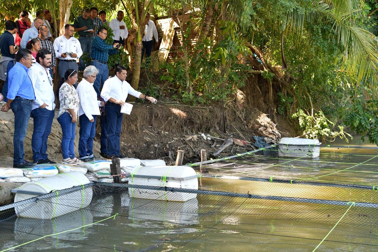 Nacajuca verá su primer cosecha de Pescando Vida en marzo