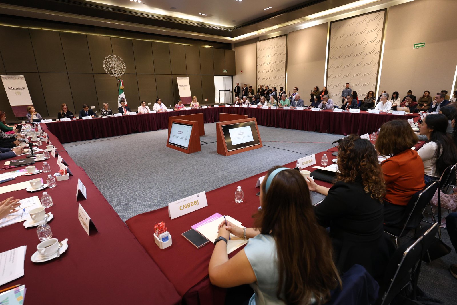 Presentan estrategia contra embarazo adolescente y violencia sexual