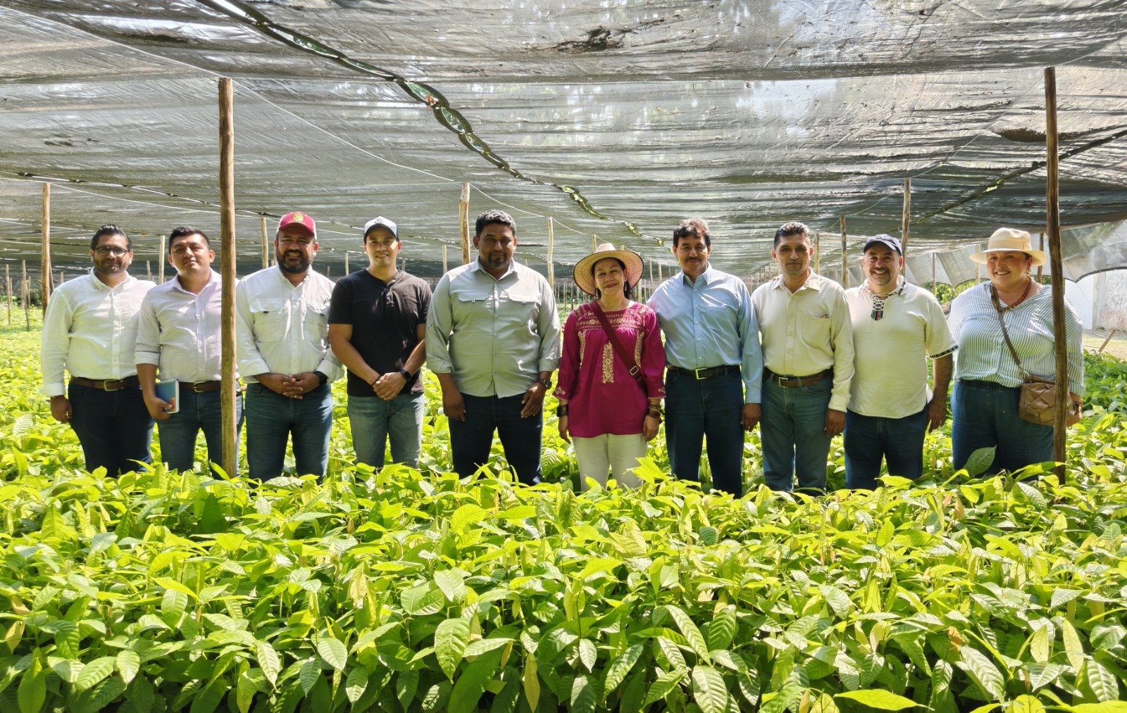 Impulsan proyecto para Fábrica de Chocolate Bienestar
