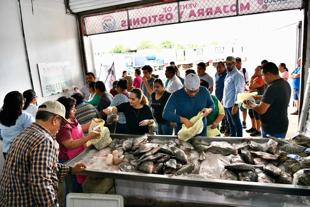 Pescando Vida prevé vender 8 toneladas de mojarra al mes