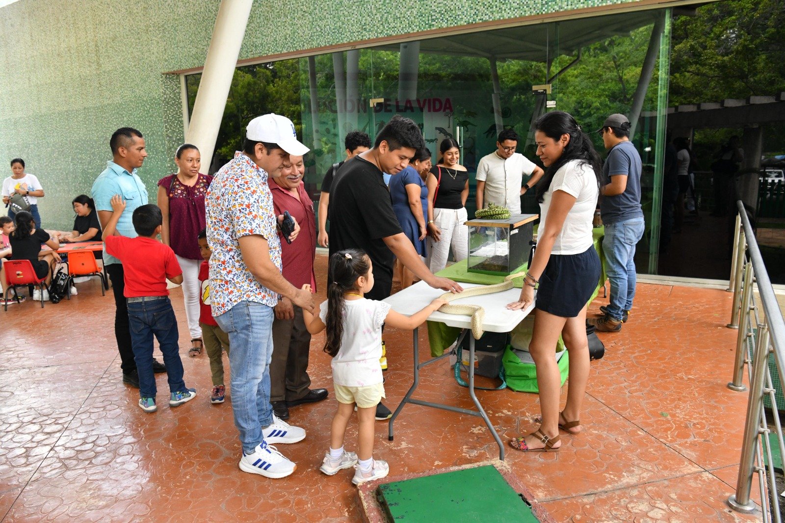 “El Museo Viviente” exhibe reptiles para fomentar su conservación