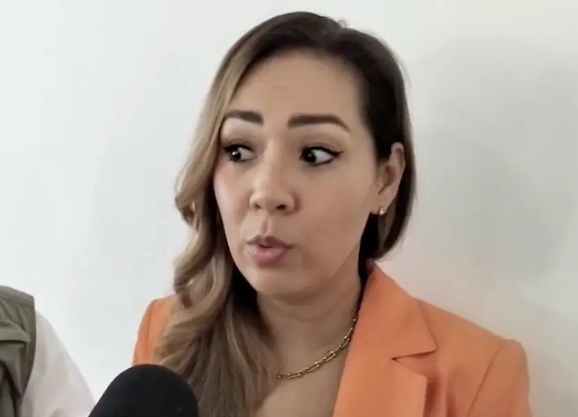 INE y OPLEs: El reto de la nueva Reforma Electoral