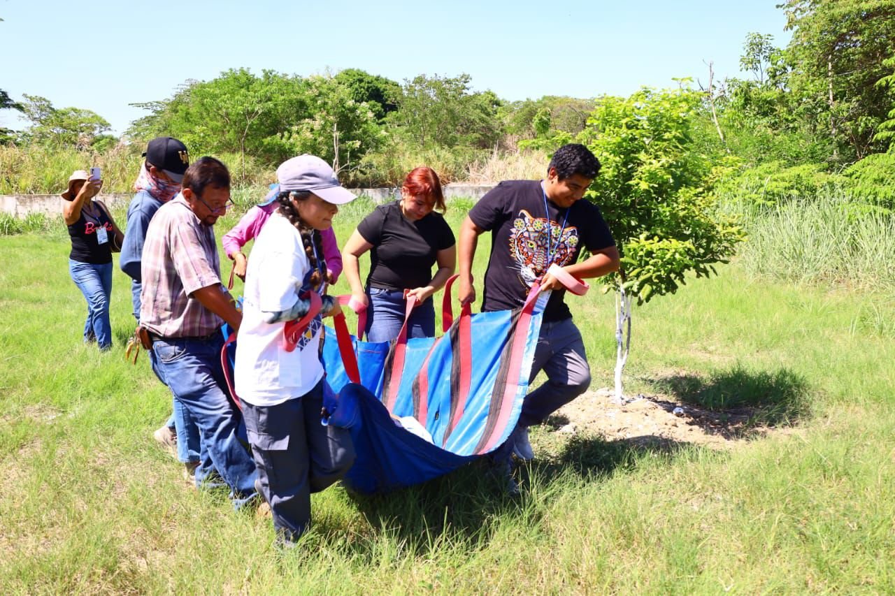 Capacita Centro a especialistas para rescatar y cuidar al manatí