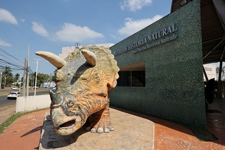 “Garantiza” Gobierno del Pueblo derecho a la cultura