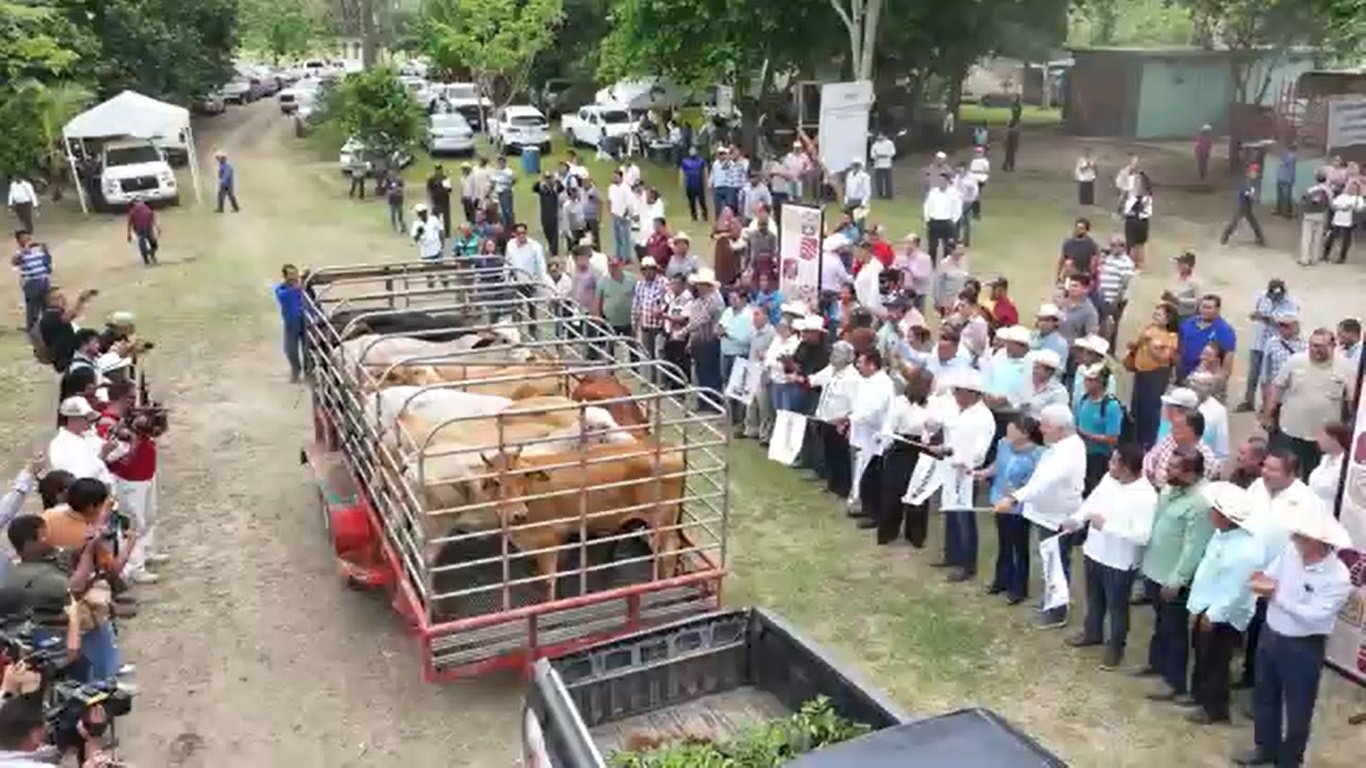 Testimonios reales reflejan el impacto del Crédito Ganadero a la Palabra en Tabasco