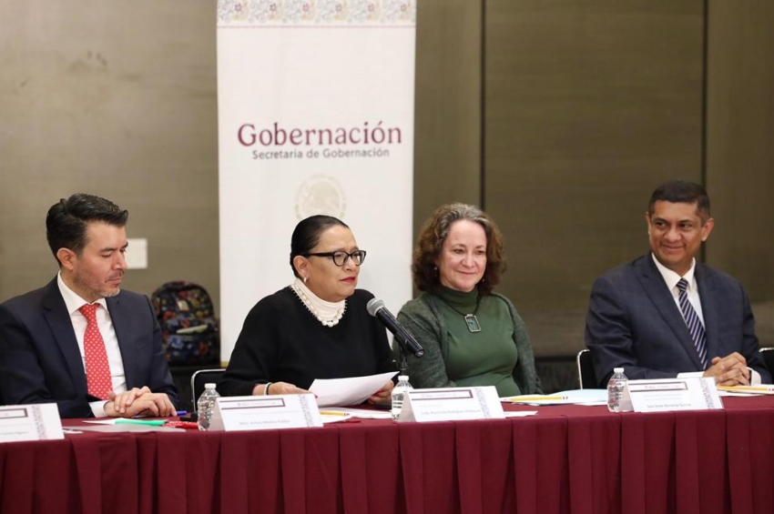 Respalda Gobierno defensa de libertad de expresión: Rosa Icela