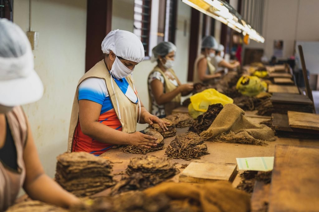 Persisten desafíos para las trabajadoras mexicanas: Red de Mujeres Sindicalistas